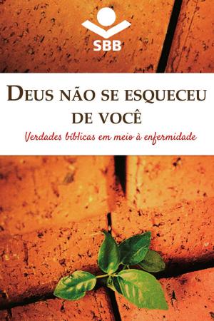Cover of the book Deus não se esqueceu de você by Sociedade Bíblica do Brasil, Jairo Miranda