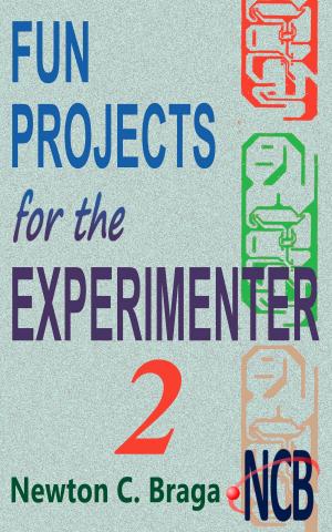 Cover of the book Fun Projects for the Experimenter - volume 2 by Newton C. Braga