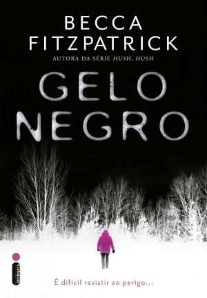 Cover of the book Gelo negro by S.A. Mecham