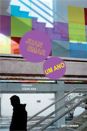 Cover of the book Um ano by Roberto DaMatta