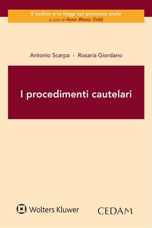 Cover of the book I procedimenti cautelari by Francesco Galgano