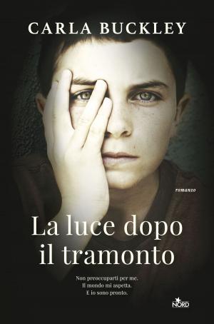 Cover of the book La luce dopo il tramonto by James Rollins, Grant Blackwood
