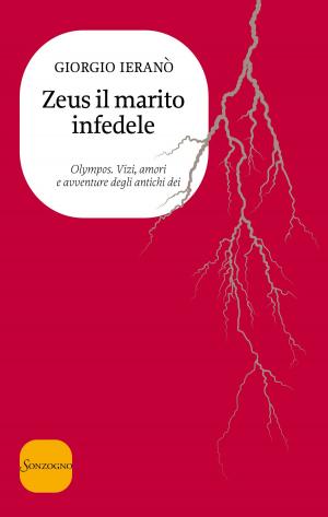Cover of the book Zeus il marito infedele by Pamela Druckerman