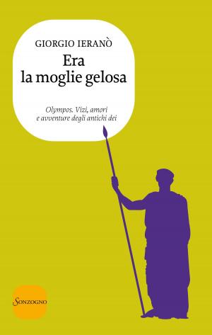 Cover of the book Era la moglie gelosa by Sarah Addison Allen