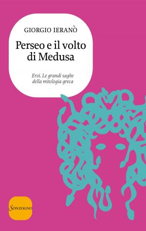 Cover of the book Perseo e il volto della Medusa by Marie Godley