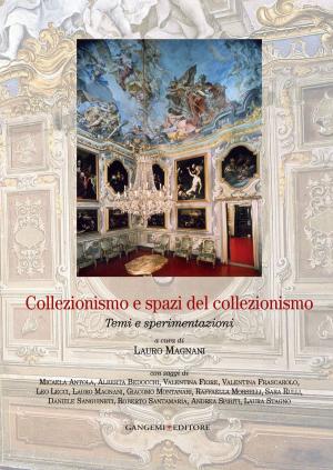 Cover of the book Collezionismo e spazi del collezionismo by Dario Carmentano
