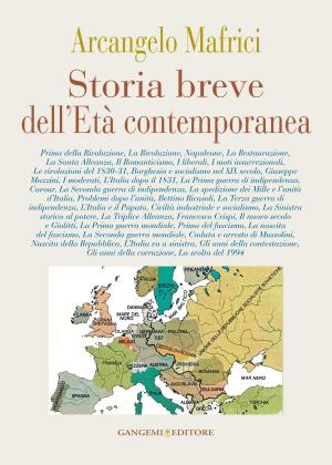Cover of the book Storia breve dell’Età contemporanea by Stefania Tuzi