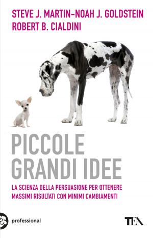 Book cover of Piccole grandi idee