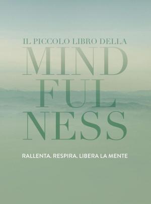 bigCover of the book Il piccolo libro della Mindfulness by 
