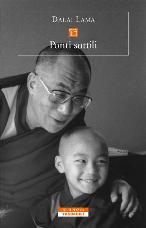 Book cover of Ponti sottili
