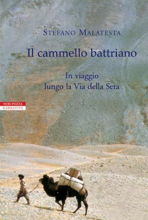 Cover of the book Il cammello battriano by Samuel Benchetrit