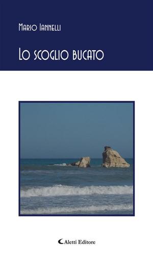 Cover of the book Lo scoglio bucato by Adriano Ventura, Daniele Bernardini, Dario Arpaio