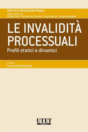 Cover of the book Le invalidità processuali by Carlo Goldoni