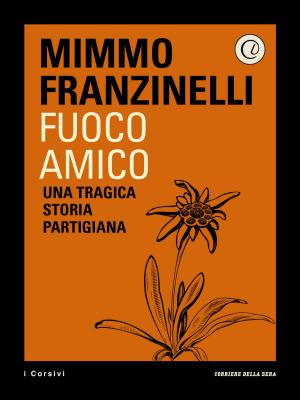 Cover of the book Fuoco amico by Michel Houellebecq, Stefano Montefiori
