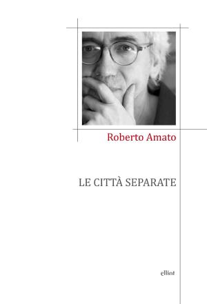 Cover of the book Le città separate by Alexx Bollen