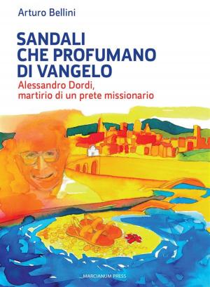 Cover of Sandali che profumano di Vangelo.