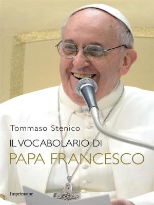 Cover of the book Il vocabolario di Papa Francesco by Antonio Ingroia