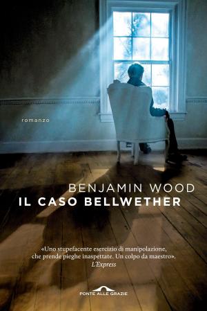 Cover of the book Il caso Bellwether by Rebecca Solnit