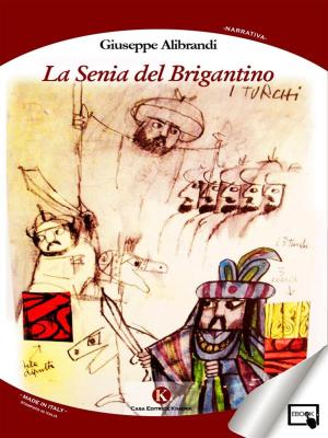 Cover of the book La Senia del Brigantino by Giuseppe Veririenti