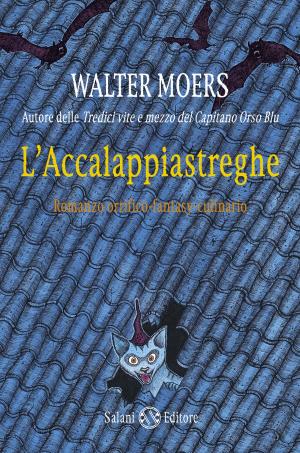 Cover of the book L'Accalappiastreghe by Gherardo Colombo, Anna Sarfatti