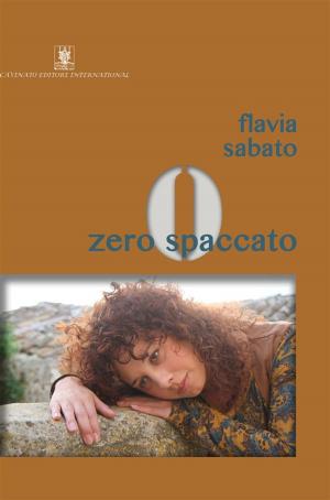 Cover of the book Zero spaccato by Jorge Fernández Granados