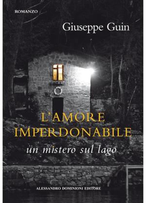 bigCover of the book L'amore imperdonabile by 