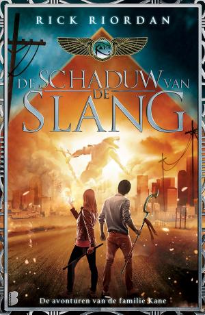 Cover of the book De schaduw van de slang by Iris Boter