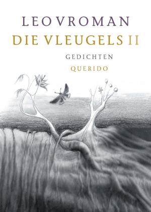 Cover of the book Die vleugels by Theun de Vries