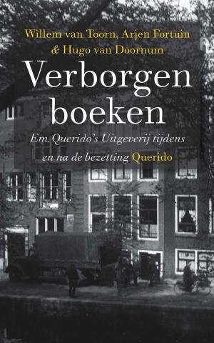 Cover of the book Verborgen boeken by Pieter Waterdrinker