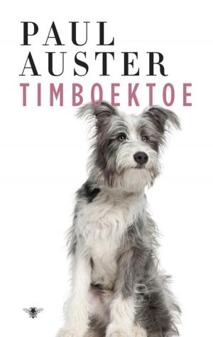 Cover of the book Timboektoe by Marten Toonder