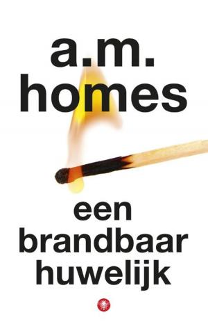 Cover of the book Een brandbaar huwelijk by Youp van 't Hek
