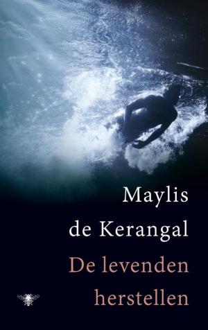 Cover of the book De levenden herstellen by Stefan Hertmans