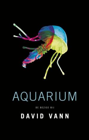 Cover of the book Aquarium by Chris de Stoop