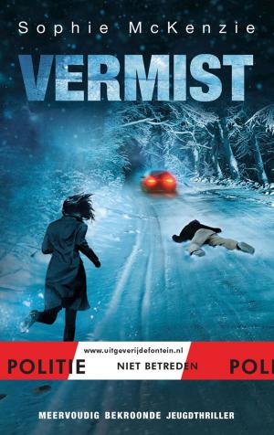 Cover of the book Vermist by Femmie van Santen