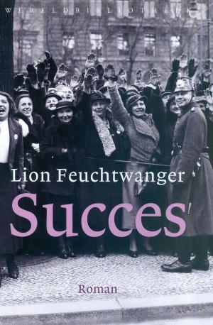Cover of the book Succes by Martin Michael Driessen