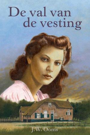 Cover of the book De val van de vesting by Geesje Vogelaar-van Mourik