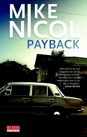 Cover of the book Payback by D.E. Stevenson, Víctor Gallego Ballestero