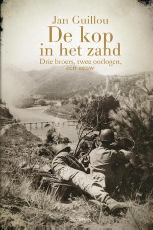 Cover of the book De kop in het zand by Tom Lanoye