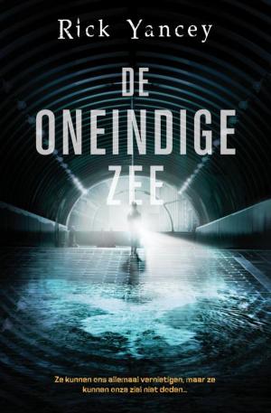 Cover of the book De oneindige zee by Åke Edwardson