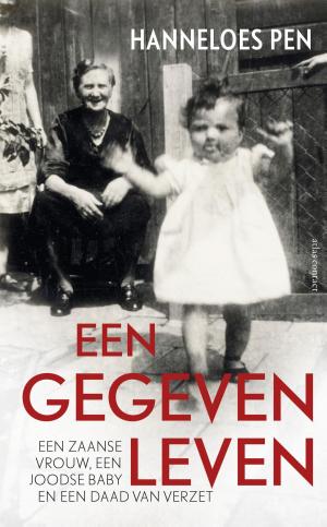 Cover of the book Een gegeven leven by Pieter Steinz, Bertram Mourits