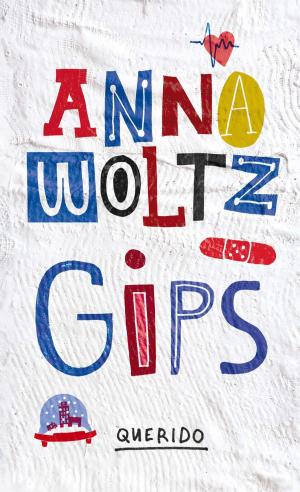 Cover of the book Gips by Elisabeth Asbrink