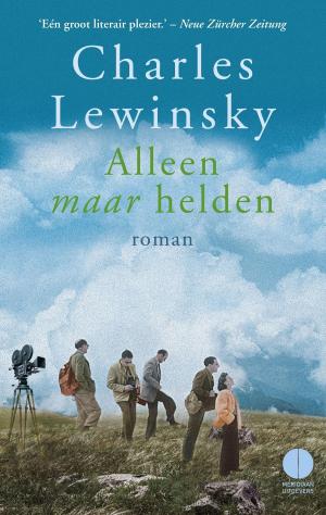 Book cover of Alleen maar helden