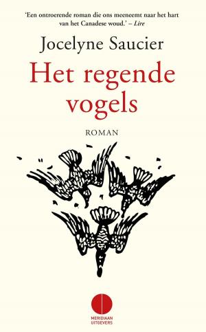 Cover of the book Het regende vogels by Joseph Roth