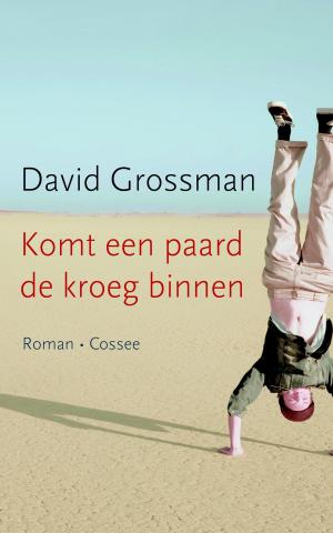 Cover of the book Komt een paard de kroeg binnen by Bregje Hofstede