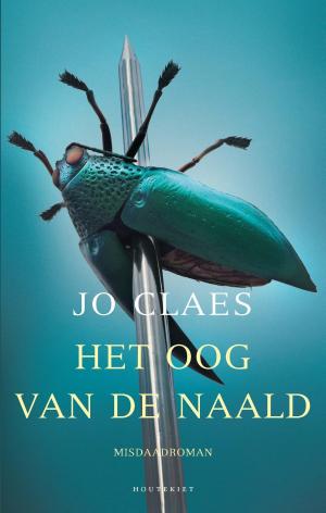 Cover of the book Het oog van de naald by Rob Aspinall