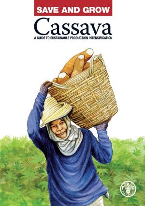 Book cover of Save and Grow: Cassava