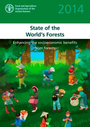 Cover of the book State of the World's Forests 2014 by Ban Ki-moon, United Nations