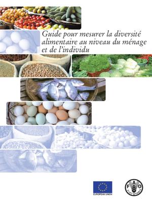 Book cover of Guide pour mesurer la diversité alimentaire au niveau du ménage et de l’individu