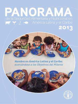 Cover of the book Panorama de la Seguridad Alimentaria y Nutricional 2013 by Organisation des Nations Unies pour l'alimentation et l'agriculture