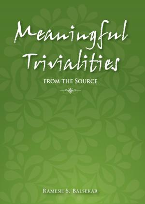 bigCover of the book Meaningful Trivialities From The Source by 